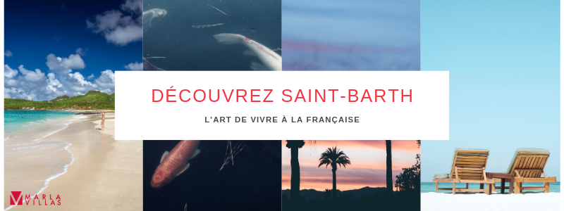 photo : découvrez saint barthélémy